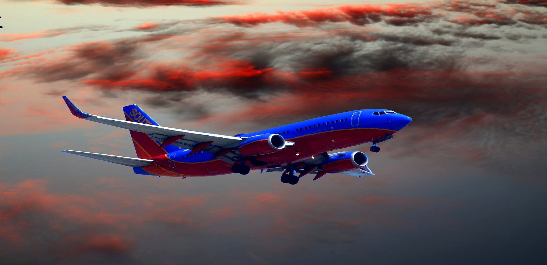 Motionstarlight Logistics